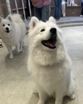 山下　千鶴（やました　ちづる）